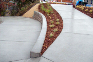 14 Sidewalk and Landscape